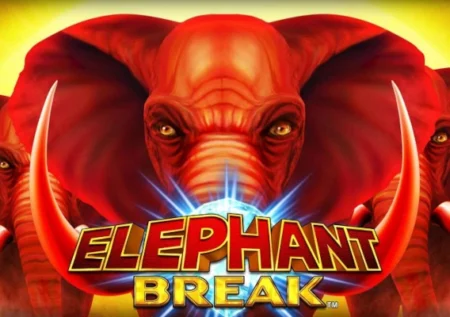 Elephant Break