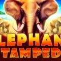 Elephant Stampede