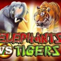 Elephants vs Tigers