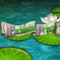 Enchanted Prince