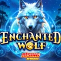 Enchanted Wolf: Rising Rewards
