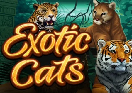 Exotic Cats