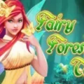 Fairy Forest Tale