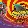 Feeding Fury