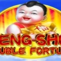 Feng Shui Double Fortune