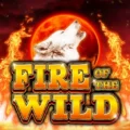 Fire of the Wild