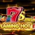 Flaming Hot 6 Reels