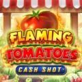Flaming Tomatoes Cash Shot