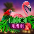 Flamingo Paradise