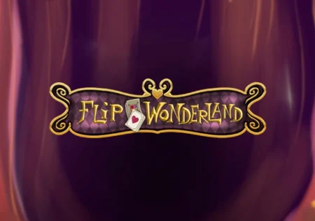 Flip Wonderland