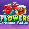Flowers Christmas Edition