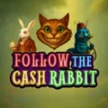 Follow the Cash Rabbit