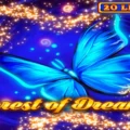 Forest of Dreams