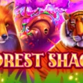 Forest Shack