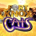 Fort Knox Cats