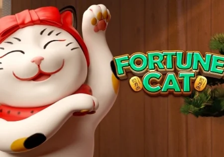 Fortune Cat