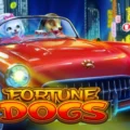 Fortune Dogs