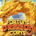 Fortune Dragon Coins