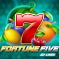 Fortune Five 20 Lines