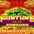 Fortune Fortune: Thundershots