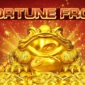 Fortune Frog