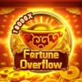 Fortune Overflow