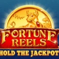 Fortune Reels