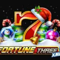 Fortune Three Xmas