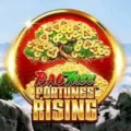 Fortunes Rising