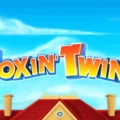 Foxin’ Twins