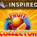 Fruit Collector