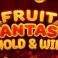 Fruit Fantasy Hold & Win