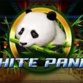 Full Moon: White Panda