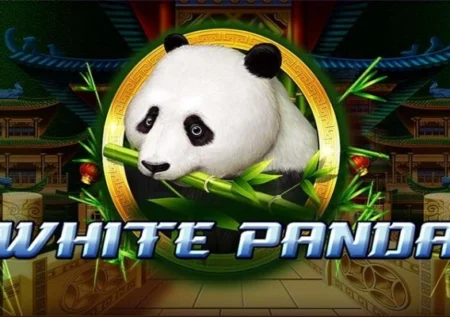 Full Moon: White Panda