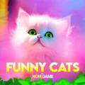 Funny Cats