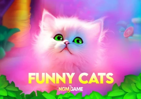 Funny Cats
