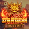 Fury Dragon