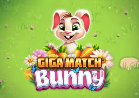 Giga Match Bunny