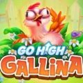 Go High Gallina