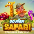 Go High Safari