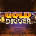 Gold Digger