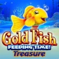 Gold Fish Feeding Time Treasure