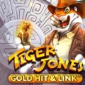 Gold Hit & Link: Tiger Jones