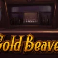 Gold Beaver
