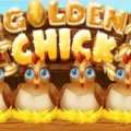 Golden Chick