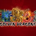Golden Dragons
