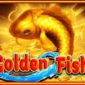 Golden Fish