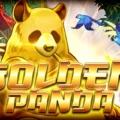 Golden Panda