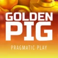 Golden Pig