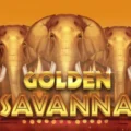 Golden Savanna